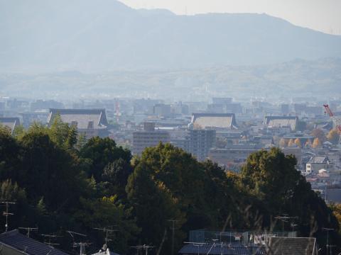 東本願寺、西本願寺