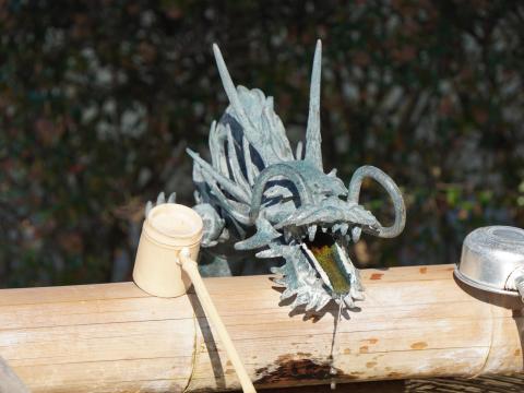 手水舎の龍
