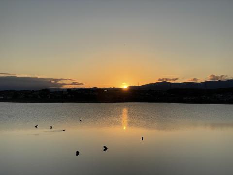 久米田池の初日の出
